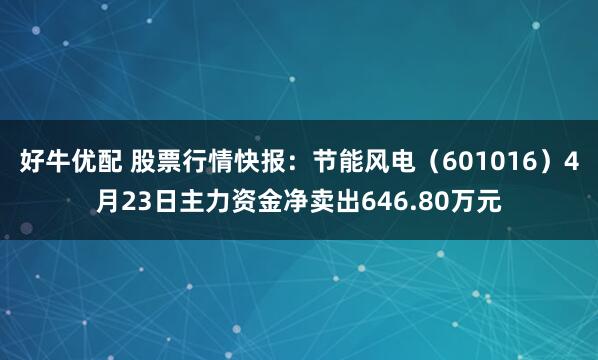 好牛优配 股票行情快报：节能风电（601016）4月23日主力资金净卖出646.80万元